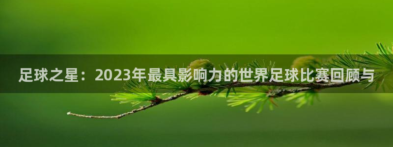  足球之星：2023年最具影响力的世界足球比赛回顾与