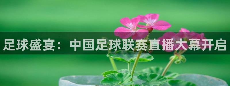 足球盛宴：中国足球联赛直播大幕开启