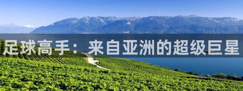 足球高手：来自亚洲的超级巨星