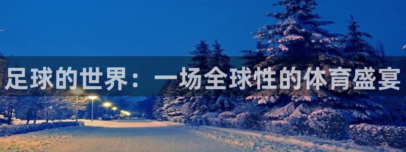  足球的世界：一场全球性的体育盛宴