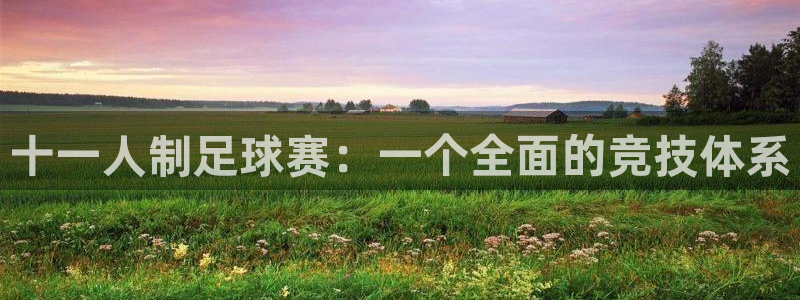 十一人制足球赛：一个全面的竞技体系