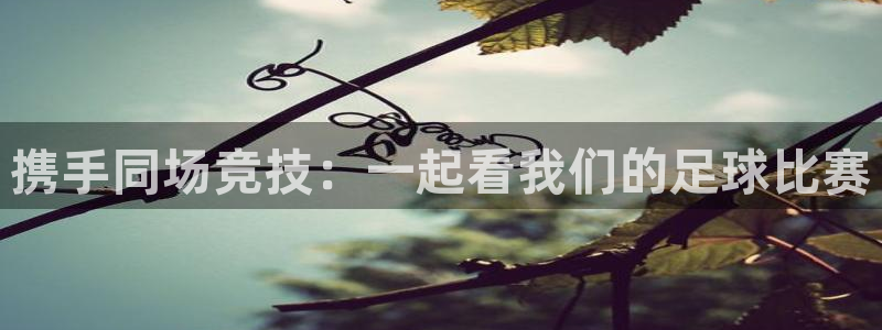  携手同场竞技：一起看我们的足球比赛