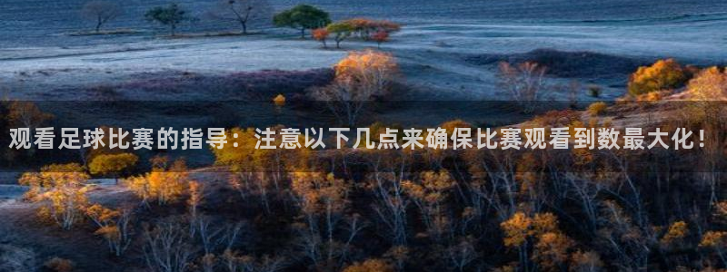  观看足球比赛的指导：注意以下几点来确保比赛观看到数最大化！