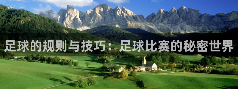 足球的规则与技巧：足球比赛的秘密世界