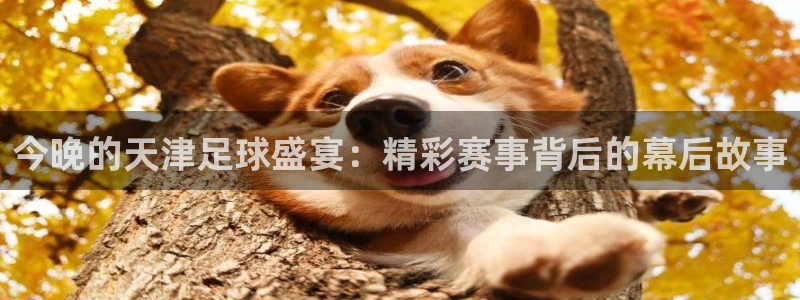 今晚的天津足球盛宴：精彩赛事背后的幕后故事