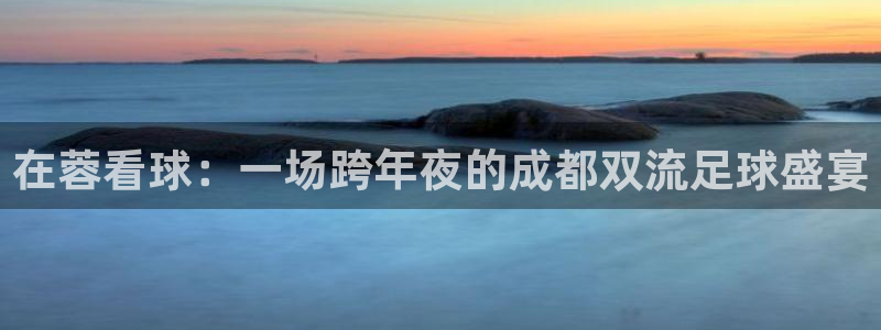 在蓉看球：一场跨年夜的成都双流足球盛宴