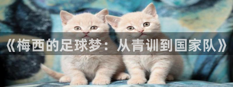  《梅西的足球梦：从青训到国家队》