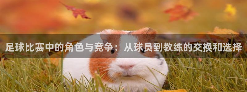  足球比赛中的角色与竞争：从球员到教练的交换和选择