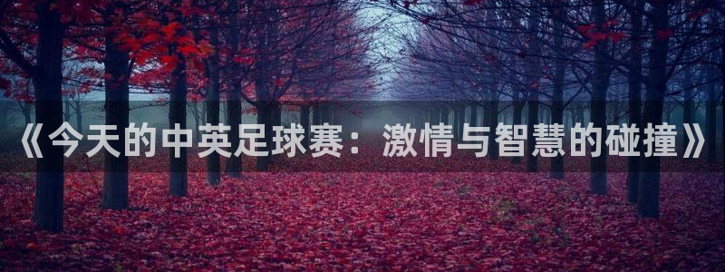  《今天的中英足球赛：激情与智慧的碰撞》