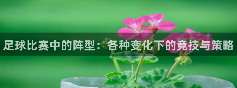  足球比赛中的阵型：各种变化下的竞技与策略