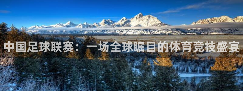  中国足球联赛：一场全球瞩目的体育竞技盛宴
