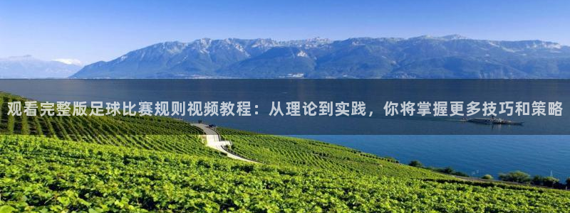 观看完整版足球比赛规则视频教程：从理论到实践，你将掌握更多技
