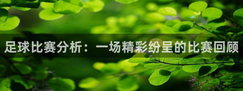  足球比赛分析：一场精彩纷呈的比赛回顾