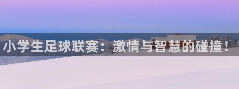 小学生足球联赛：激情与智慧的碰撞！