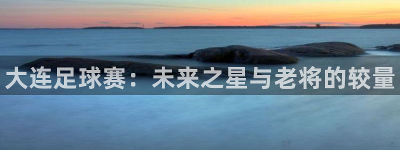  大连足球赛：未来之星与老将的较量