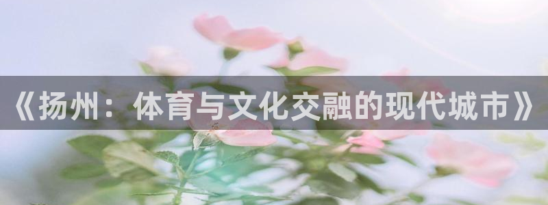 77体育