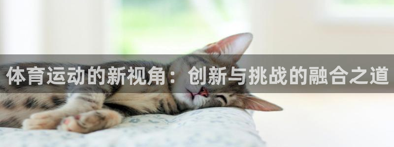 77体育