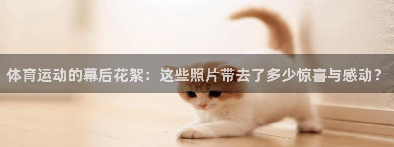 77体育官网