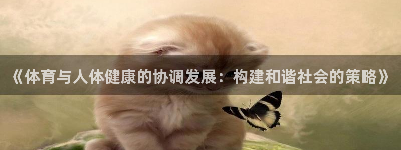 77体育app下载官网：《体育与人体健康的协调发展：构建和谐社会的策略》