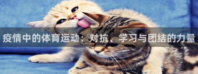 皇冠277体育