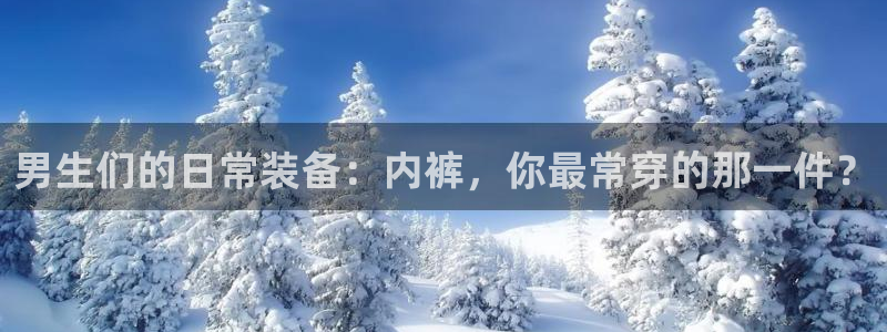 77体育app下载官网