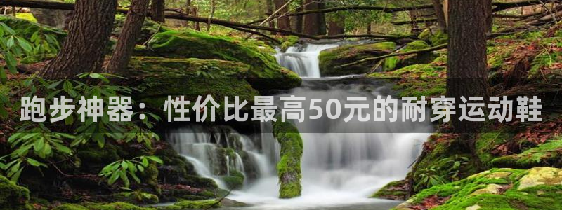 77体育app下载官网