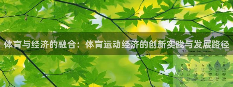 77体育：体育与经济的融合：体育运动经济的创新实践与发展路径