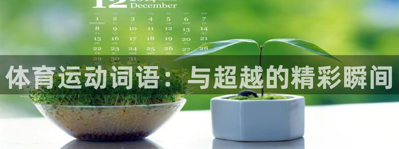 皇冠277体育：体育运动词语：与超越的精彩瞬间