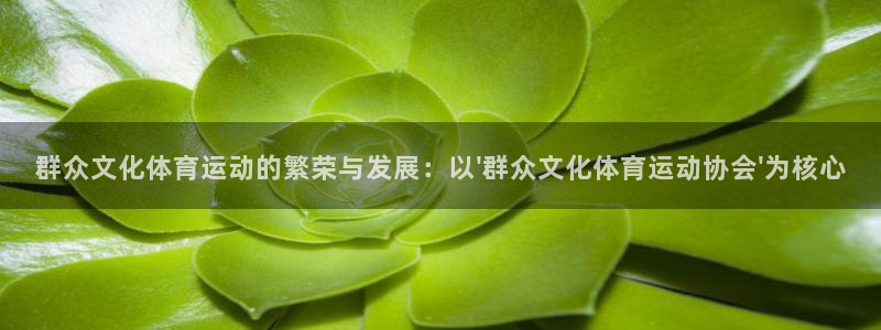 77体育app下载官网：群众文化体育运动的繁荣与发展：以\'群众文化体育运动协会\'为核心