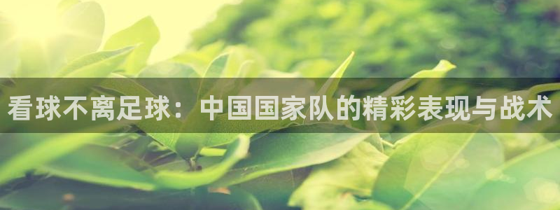 看球不离足球：中国国家队的精彩表现与