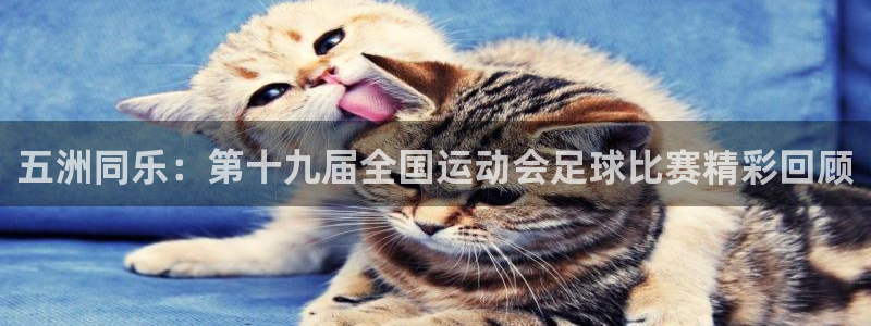五洲同乐：第十九届全国运动会足球比赛