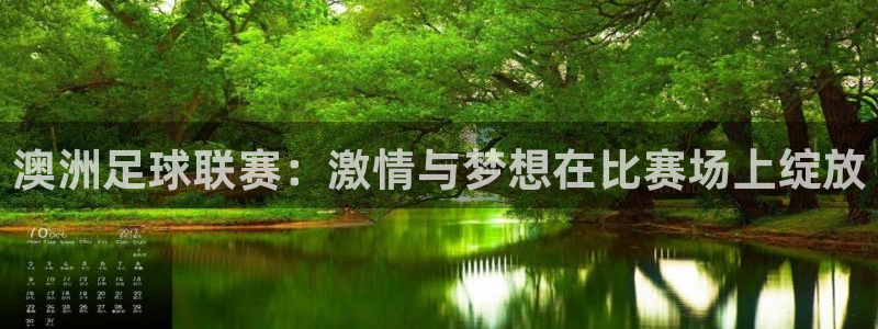 澳洲足球联赛：激情与梦想在比赛场上绽