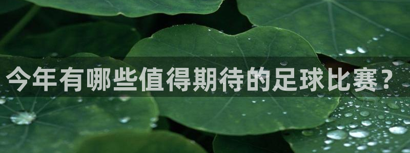 今年有哪些值得期待的足球比赛？