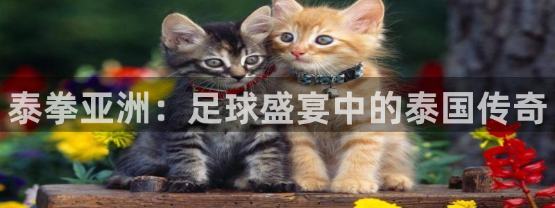 泰拳亚洲：足球盛宴中的泰国传奇