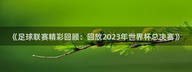 《足球联赛精彩回顾：回放2023年世