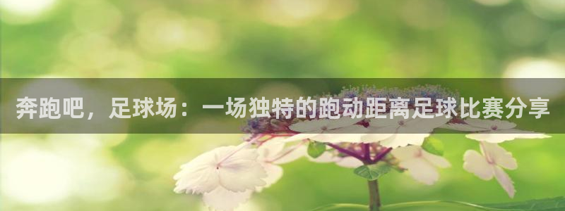 奔跑吧，足球场：一场独特的跑动距离足