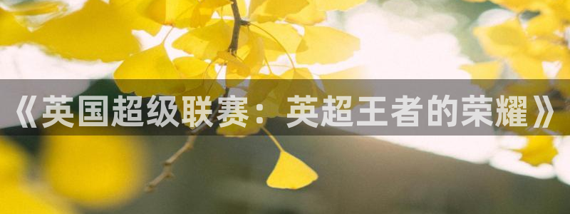 《英国超级联赛：英超王者的荣耀》