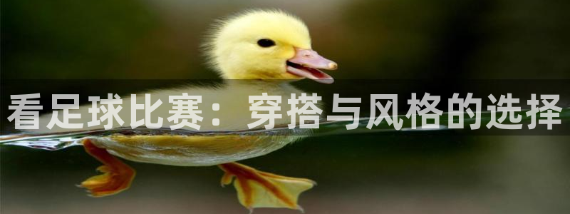 看足球比赛：穿搭与风格的选择